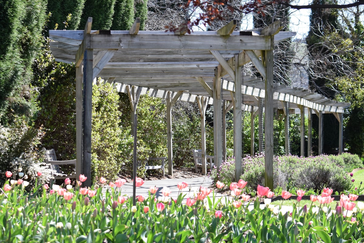 Zahradní pergola